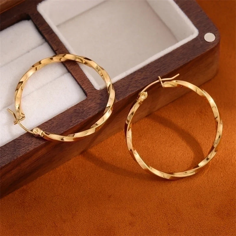 Hoop spiral earrings